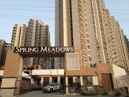 Spring Meadows